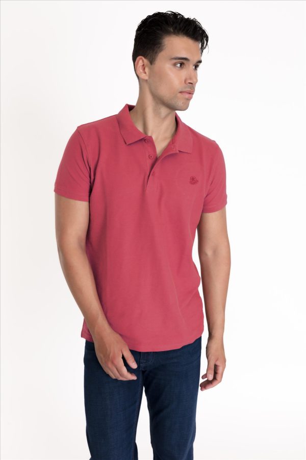 POLO CRISANTEMO
